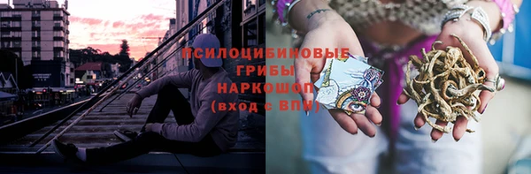амф Алексеевка